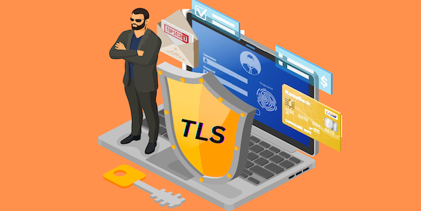 A Comprehensive Guide to TLS: Exploring Its Phases and the Changes Between TLS 1.2 and 1.3